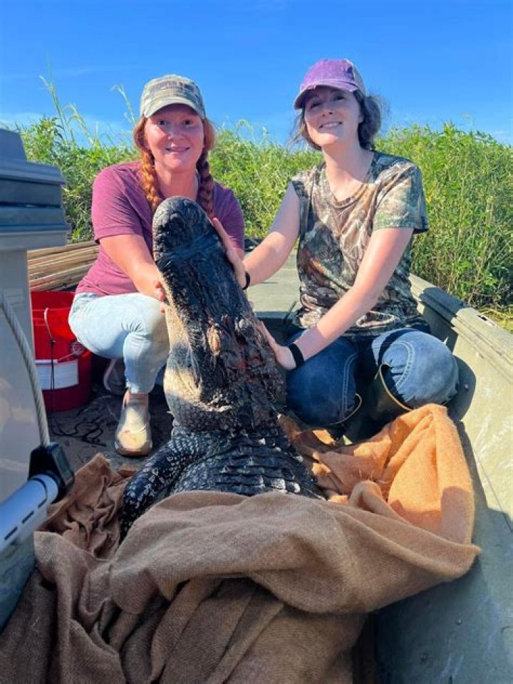 Anna Ribbeck [Swamp People] wiki, bio, age, net with, husband, kids.