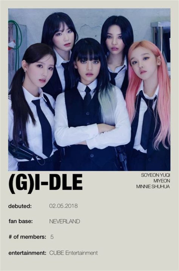 (G)I-dle Members, Tour, Information, Facts