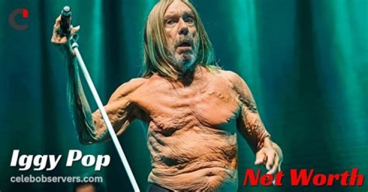 Iggy Pop Net Worth | Celebrity Net Worth